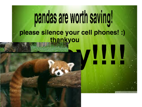 i love pandas pandas are cool lalalalalalalalallalala pandas are awesome!!!!!!!!!!!!!!!!!!!