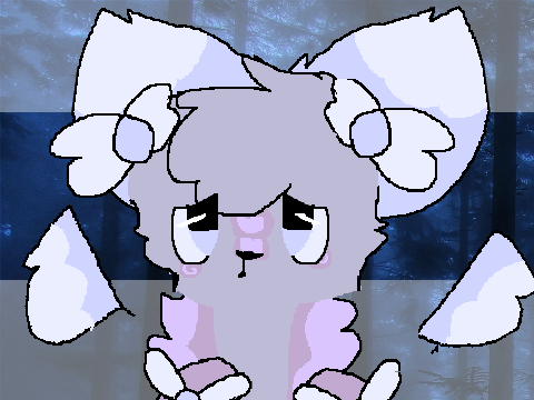 shelter Mem e