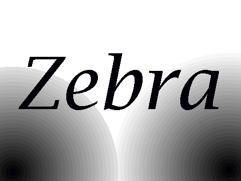 Save The Zebra game