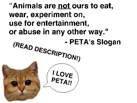 Why PETA is GOOD!