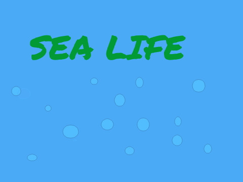 Sea Life