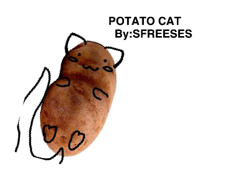 The Potato Cat Song