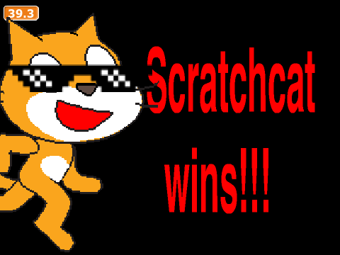 Scratchcat Runs a Marathon