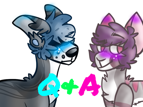 Ask us anything - Q&A