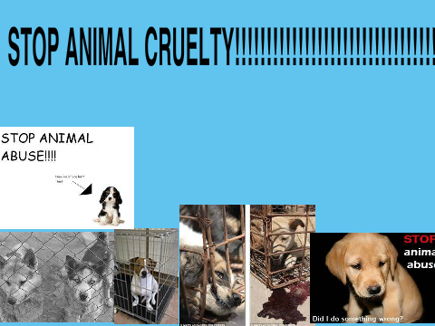 STOP ANIMAL CRUELTY!!! PLEASE REMIX IF YOU CARE! remix remix