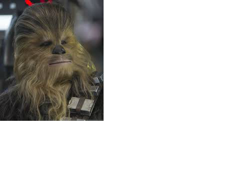 Chewy 