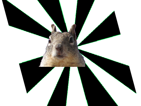 Trippy Squirrel