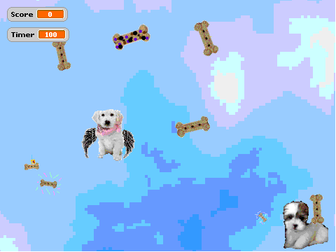 Dog Biscuit