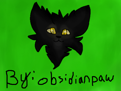 my cat