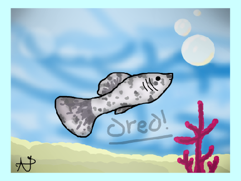 My new fish oreo (I can't take a picture right now this is as close as I'll get)