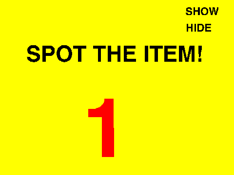 Spot the Item My Version!