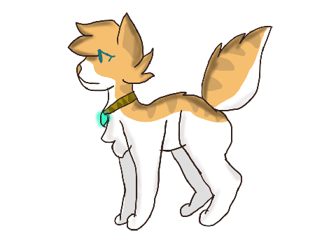 Design Trades ~ 