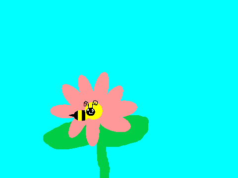 Spring Flower