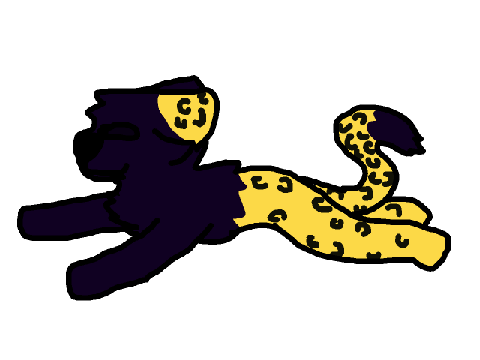 For Panthleopard
