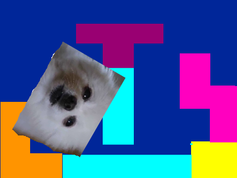 sniff sniff bork.