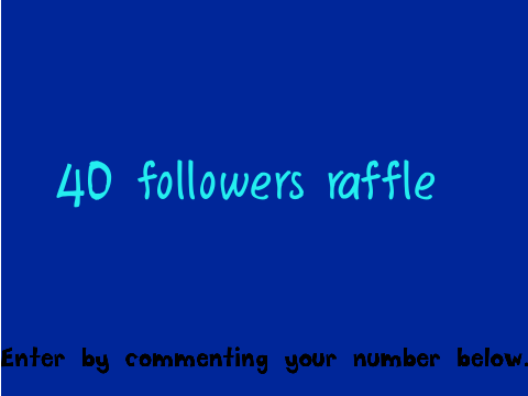 40 followers raffle