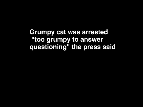 Grumpy Cats Death