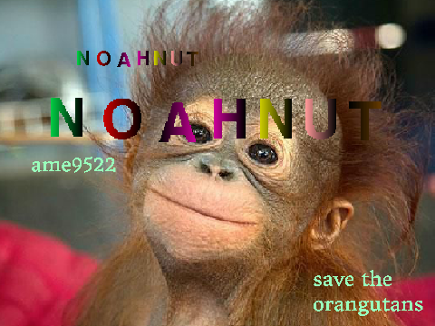 sign to save the orangutangs! remix