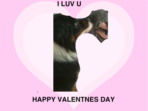 VALENTINE ANIMALS