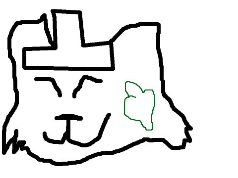 Irish cat
