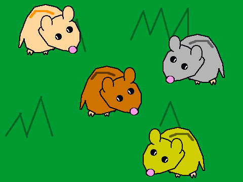 Hamsters In The Grass