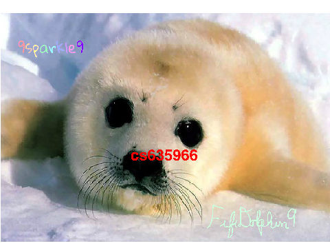 Remix this if you think this seal is cute! remix remix