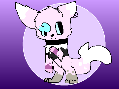 DT With KittyShark <3