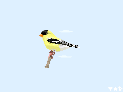 American Goldfinch