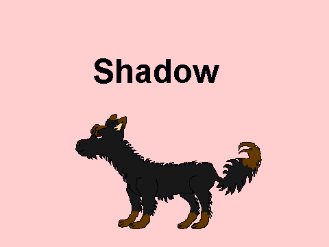 shadow