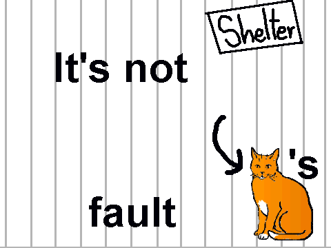 Please adopt!