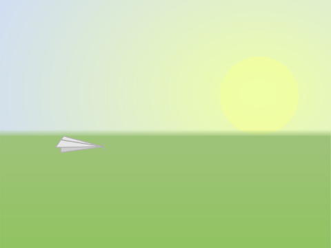 Flight