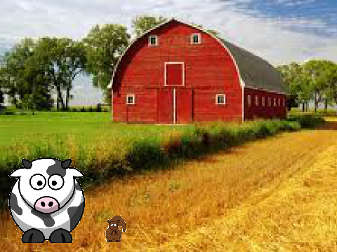 Farmhouse Geniuses