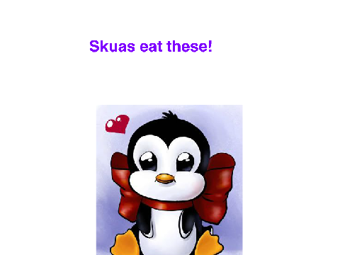 skuas are bad