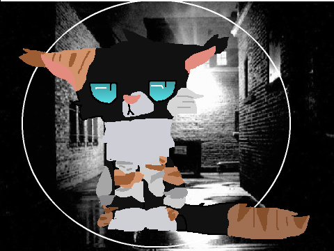 Contest Entry 