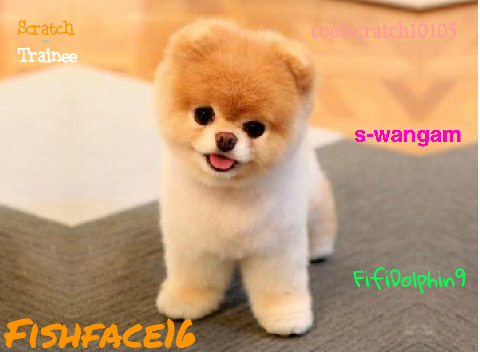 Sign this if you think Boo is adorable!!! remix remix remix