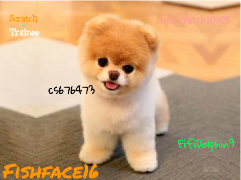Sign this if you think Boo is adorable!!! remix remix remix