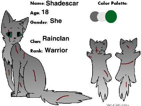 Custom your warrior! Shadescar