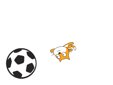 aSoccer Physics