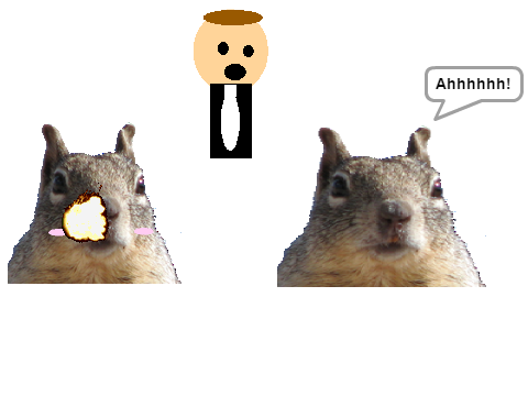 Dr.Nuts gets divorsed