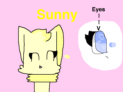 Meet Sunny!