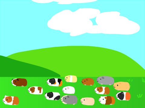 Guinea Pigs