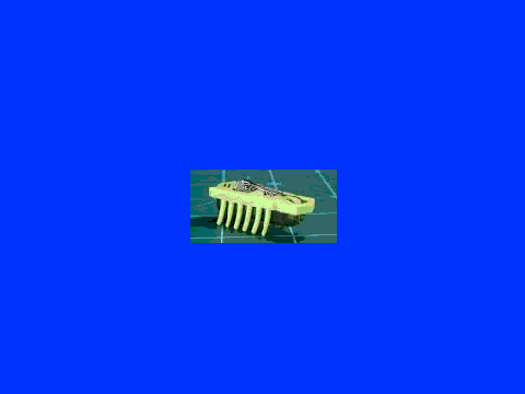 HEXBUG