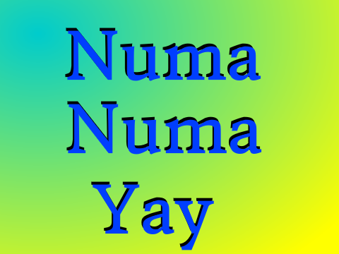 Numa Numa Yay
