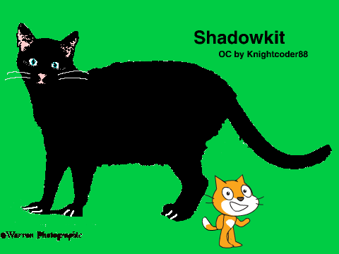 Competition shadowkit