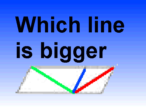 estimation illusion