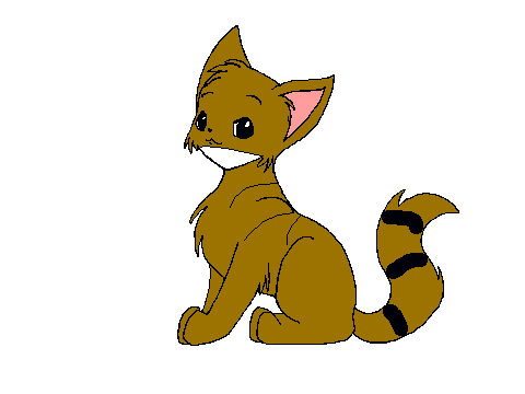 doc