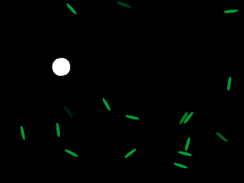 White Blood Cell vs Bacteria Growth