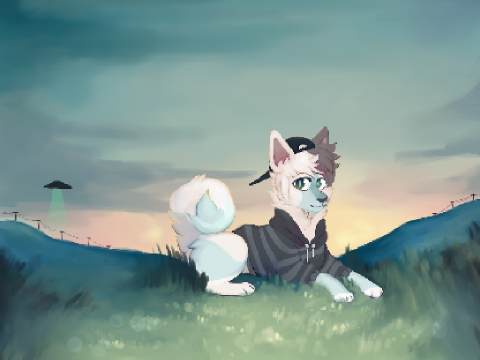 nym , update 