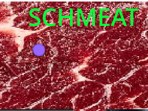 SCHMEAT