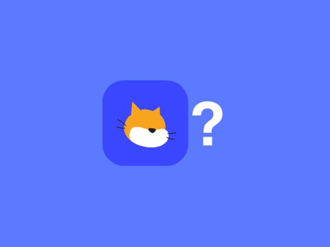 Scratch: A Social Media Site Or Not?